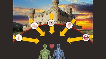 How we Sense our World (NLP Lead Representation System)