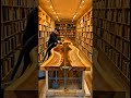 Building a Resin River Counter in a Bookstore
