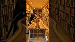 Building a Resin River Counter in a Bookstore