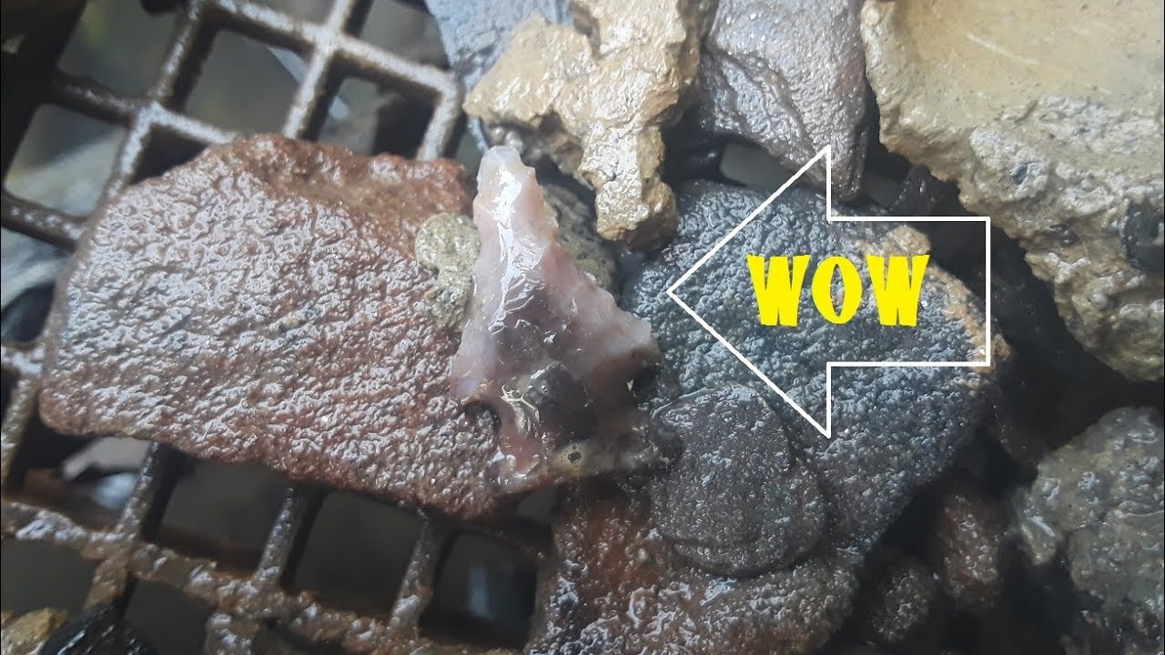 West Virginia Arrowhead Hunting Jewel Grade Flint Bird Point Archaeology History Channel