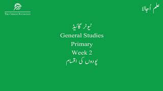 Tutor Gst Primary Week 2