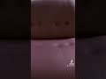 Перетяжка кресла #shortvideo #shorts