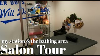 Dog Grooming Salon Tour! My Job At Loyal Companion