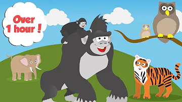 Zoo Animals For Toddlers | Learn Counting, Colours and Days of the Week