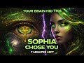 Your Brain Was Never Meant to See This &mdash; The Sophia Code Explained