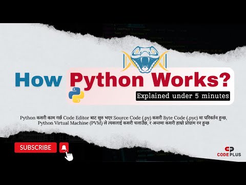 How Python works explained under 5 minutes | codeplus