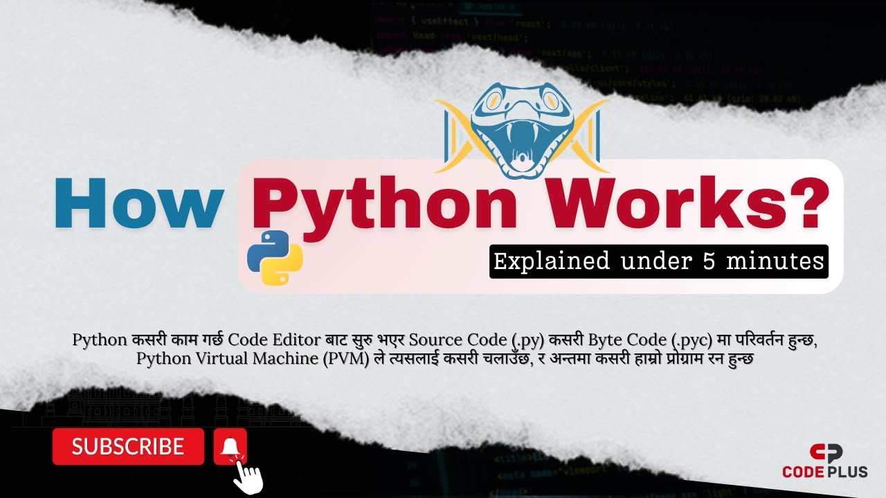 How Python works explained under 5 minutes | codeplus