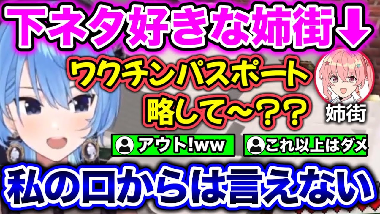 姉街が小学生レベルの下ネタを言ってる件www【ホロライブ切り抜き/星街すいせい】