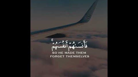 القارئ ماهر المعيقلي سورة (الحشر)