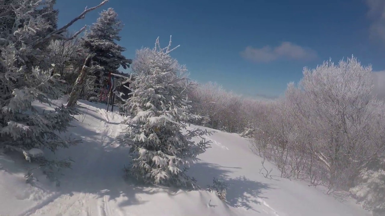 Brandon Gap Goshen Mountain Run YouTube