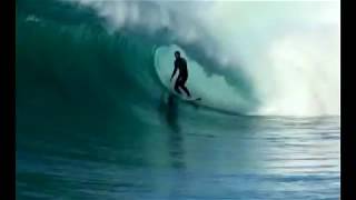 Rasta and Andy all my Life Reef Master;d