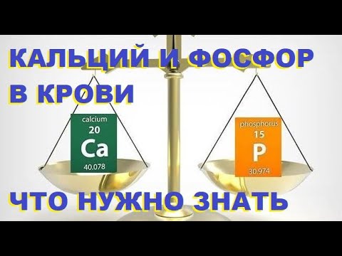 Кальций и фосфор в крови: как правильно оценить и на что обратить внимание?