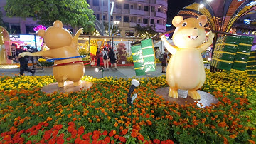 Đường hoa Nguyễn Huệ Tết Canh Tý 2020