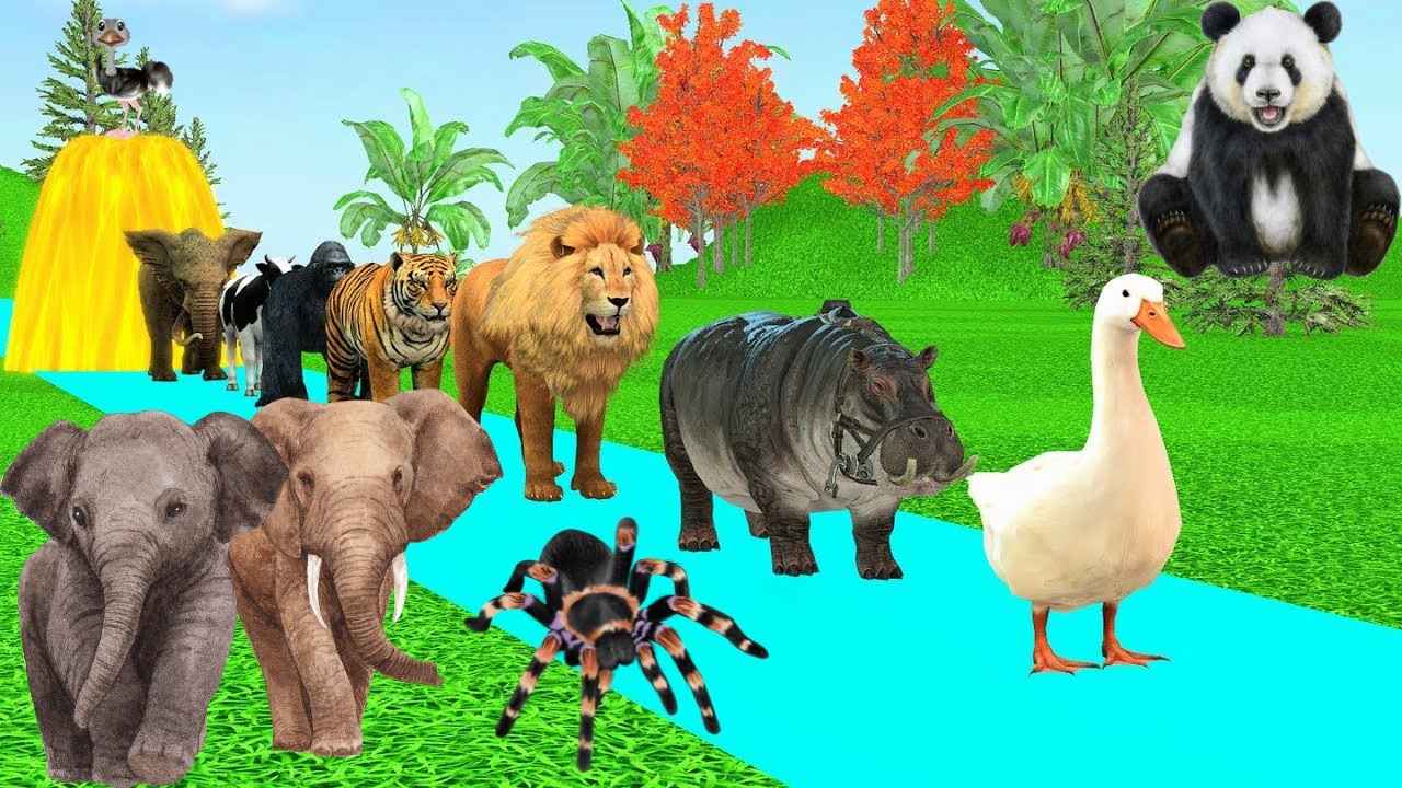 Cartoon, Cow, Elephants, Tigers, Dinosaurs, Dogs, MoGo Wild Animals kids Animation