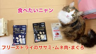 猫用フリーズドライのササミ・ムネ肉・まぐろ購入してみました