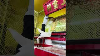Lắp đặt hoàn thiện cửa võng bằng đồng mạ vàng cho điện thờ #funny #thuanthethao #minhthuan