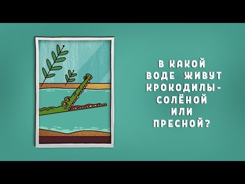 Вопросы Чевостика. В какой воде живут крокодилы – солёной или пресной?