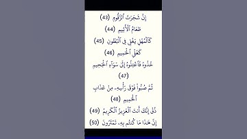 سورة الدخان من الآية 43 الى الآية 50 تلاوه بمقام العجم #القرآن_الكريم #القران_الكريم #القرآن #القران