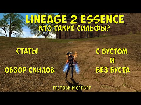 Видео: Выходит коллекционное издание Lineage II