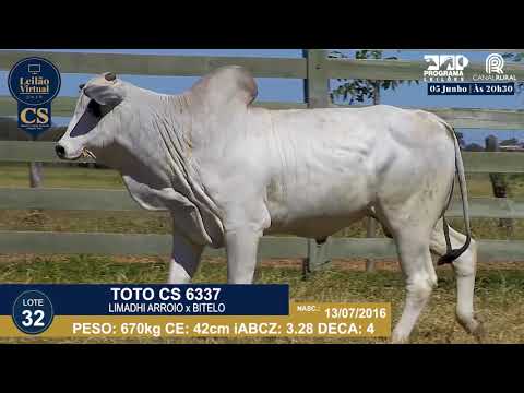 LOTE 32