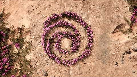 [FiXED] Far Cry New Dawn Crash to desktop/Black Screen/ERROR