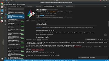Debugging a C++ (CMake) Project in Vscode
