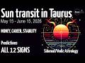Sun Transit in Taurus 2026 | All 12 Signs | Career, Wealth &amp; Life Predictions | Vedic Astrology
