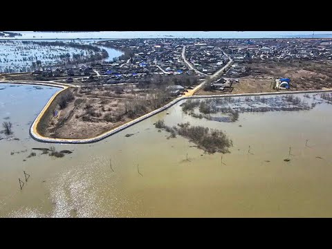 Видео: Мощный потоп обрушится на село в Тюменской области, уровень реки Ишим достиг рекордной отметки