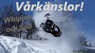 SLED EDIT | Seasons Best 2021