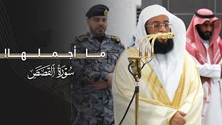 ما أجملها!♥️ تلاوة مسترسلة من سورة القصص للشيخ بدر التركي | عشاء الأحد 2-6-1447هـ