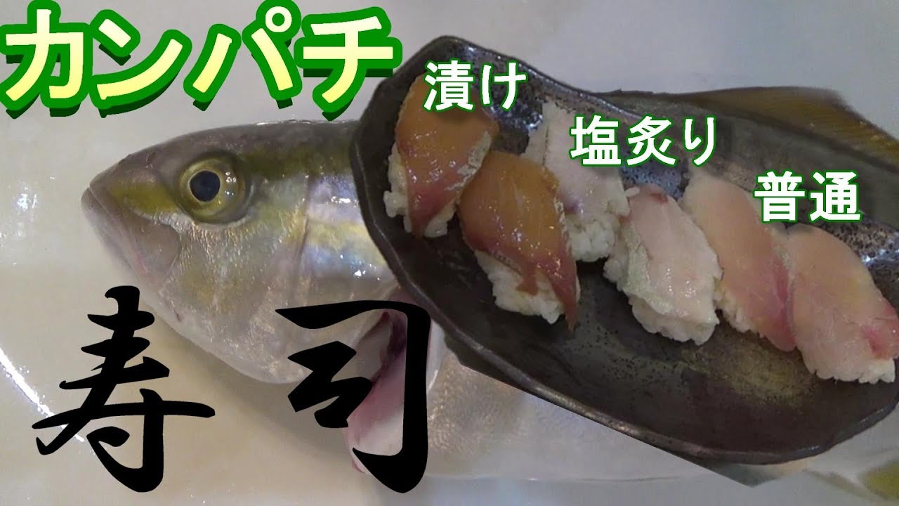 カンパチ握り寿司三種盛 第51回 Youtube