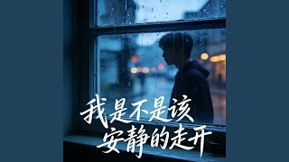 我是不是该安静的走开 (男生R&B版)