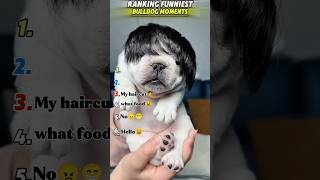 Ranking funniest bulldog moments😂😂"Wait for Number 1!"