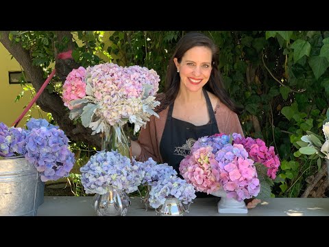 Video: Cómo Combinar Hortensias En Un Ramo