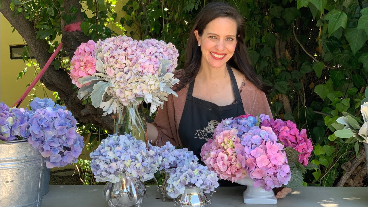 En Vivo con Ana Galena: Hortensias y todo lo que quieres saber para usarlas  en arreglos florales - YouTube