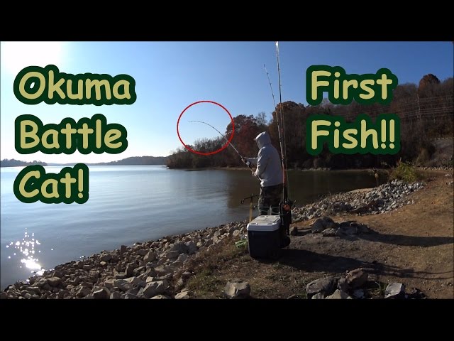 First Fish on my NEW fishing rod! The Okuma Battle Cat! 