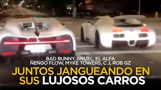 Imágenes del jangueo de Bad Bunny, El Alfa, Anuel, Myke Towers, Ñengo Flow juntos por Miami 🔥