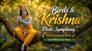 Birds & Krishna Flute Symphony 🐦 Nature’s Relaxing Music 🎶 Calm Mind & Inner Peace