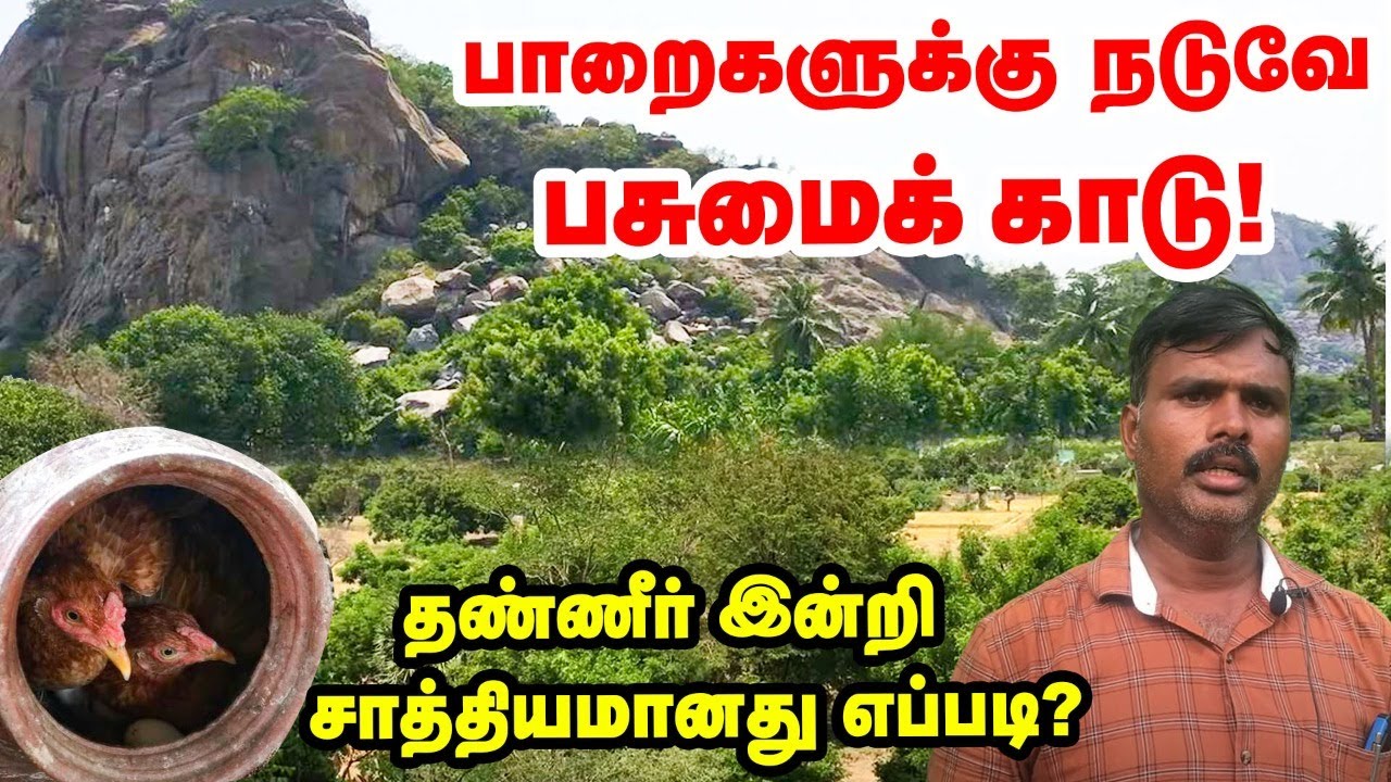பாறைகளுக்கு நடுவே பசுமைக்காடு  அசத்திய செஞ்சி விவசாயி! |  Pasumai Vikatan