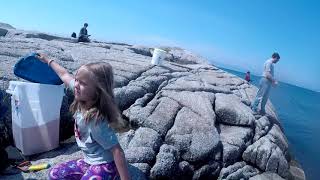 098. Открыт сезон на скумбрию. Nova Scotia, Prospect Bay, Halifax. Mackerel fishing