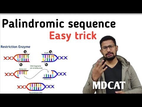 What is palindromic sequence| palindrome in DNA|2021|palindrome kia hy| easy way| emdcat By zahid
