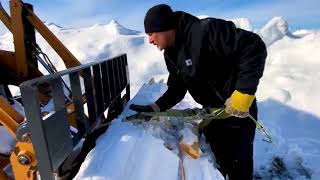 Arctic ~ Homestead ~ 10 ~ years ~ living ~ off the Alaskan wilderness