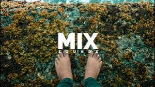 Roa - Life (No Copyright Music)