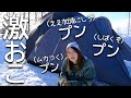 過去２番目の高額無断購入！？懲りない旦那に嫁キレッキレ！！【高額商品購入】【冬キャンプ】【北海道キャンプ】【ムラコグスタフ6P】【焚き火】