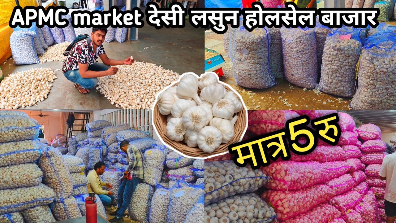 APMC मार्केट में लहसुन हुआ सस्ता | lahsun wholsale market vashi