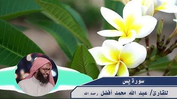 سورة يس - القارئ عبد الله محمد أفضل