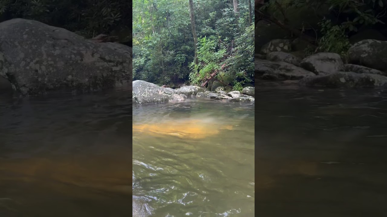 Explore The Natural Beauty of South Mountain State Park in North Carolina 