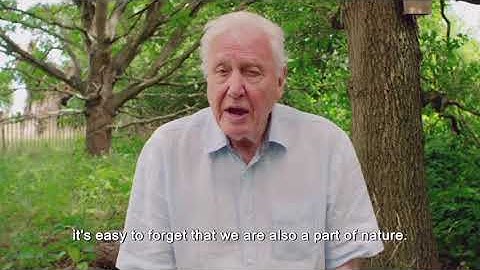 Biodiversity: The Loss of Nature |David Attenborough