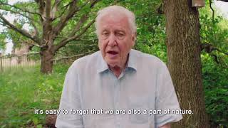 Biodiversity: The Loss of Nature |David Attenborough