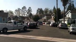 South Ontario warrant and pursuit scene